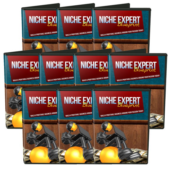 Niche Expert Blueprint